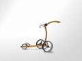X2P Beauty manual golf trolley(with brake)