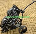 Golf cart 2