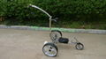 High quality Stainless steel Golf Trolley with double linix motors 17