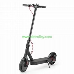 China suppliers high quality mobility scooter , 300W electric scooter