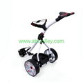 S1T2 sports remote golf trolley(black, white, red are available)