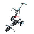 Electric Cruiser Golf buggy With Power Motor Remote Golf Trolley With seat