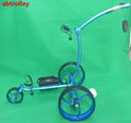 Folding Mini Remote Control Golf Carts For Sale Electric Push Golf Trolley 10