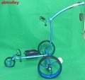 Folding Mini Remote Control Golf Carts For Sale Electric Push Golf Trolley