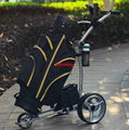  Aluminum Foldable Pull Push Electric Golf Trolley