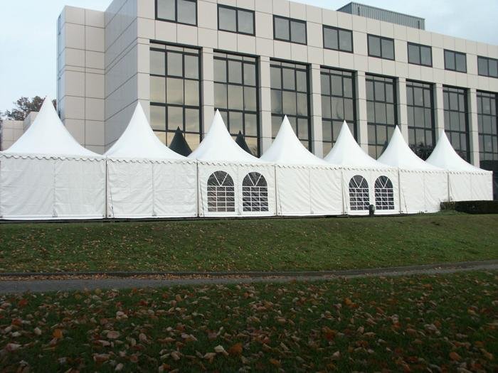 Supply curved column tent party tent pointed roof tent 3x3m