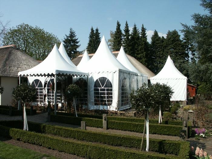 Supply curved column tent party tent pointed roof tent 3x3m 4