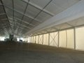 Supply large industrial tent, business tent, exhibition tent 3