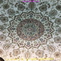 亚美传奇8x11ft silk carpet真丝手工书房地毯,波斯图案 3
