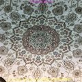 Yamei Legend Persian pattern, 8x11 silk hand woven study carpet 3