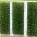 草坪綠色深色地毯 優質草絲3cm毛高大自然草坪地毯 3