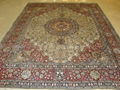 Persian Luxury 8x10ft Date Red Silk Persian Style Living Room Carpet