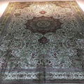 波斯富贵手工艺术真丝地毯 6x9ft silk carpet 2