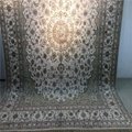 9x12ft 米色手工编织真丝艺术波斯风客厅地毯 4