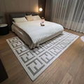       系列超柔舒適簡約時尚客廳地毯 6