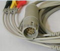 ECG CABLE