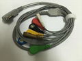 DMS Holter 7lead wire and 10lead wires