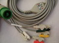 ECG CABLE