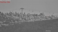 4K 25~1200mm continuous zoom spotter CCTV NIR SWIR camera see 22km human in cable car  with focus maintained while zooming at 9km visibility -3