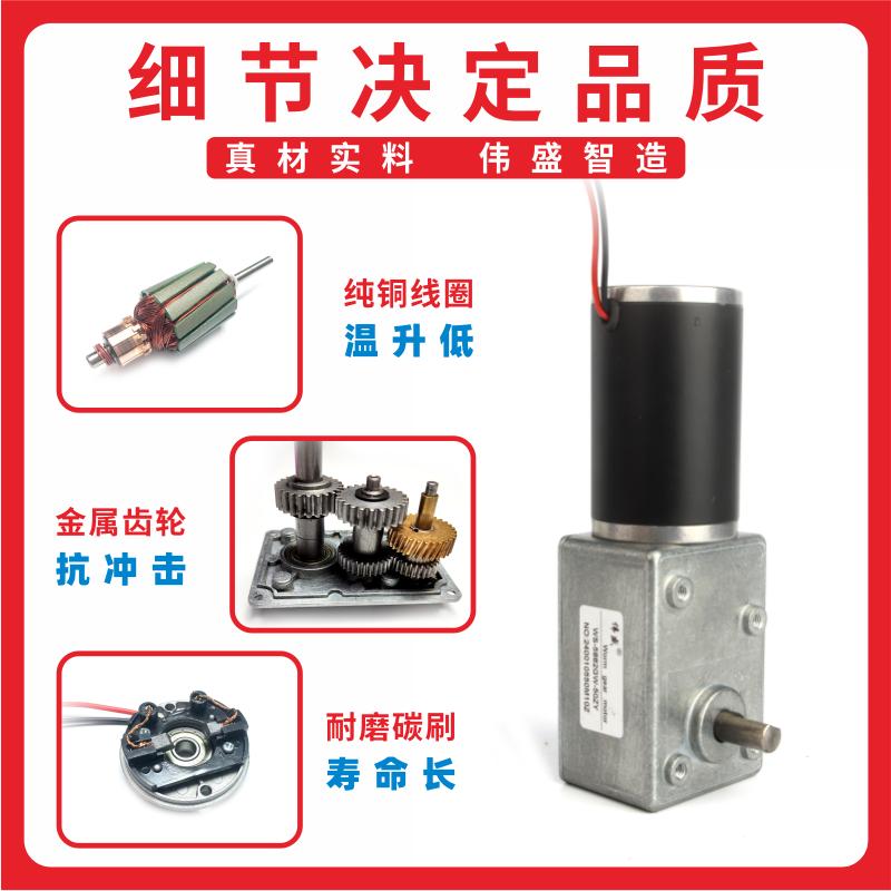 5882GW-50ZY大力矩可自锁正反转直流蜗轮蜗杆减速电机 2