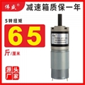 36GX555R直流減速電機3