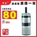 36GX536R微型直流减速电