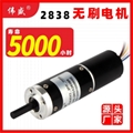 28GX2838R微型直流减速