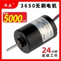 3650直流無刷高速電機12V