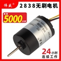 2838無刷直流電機24V微型