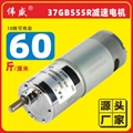 37GB555R微型永磁直流齿