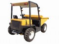 FY20/SD20 SITE DUMPER