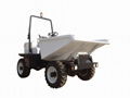 FY20/SD20 SITE DUMPER 3