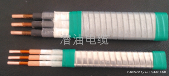 潜油泵电缆 3