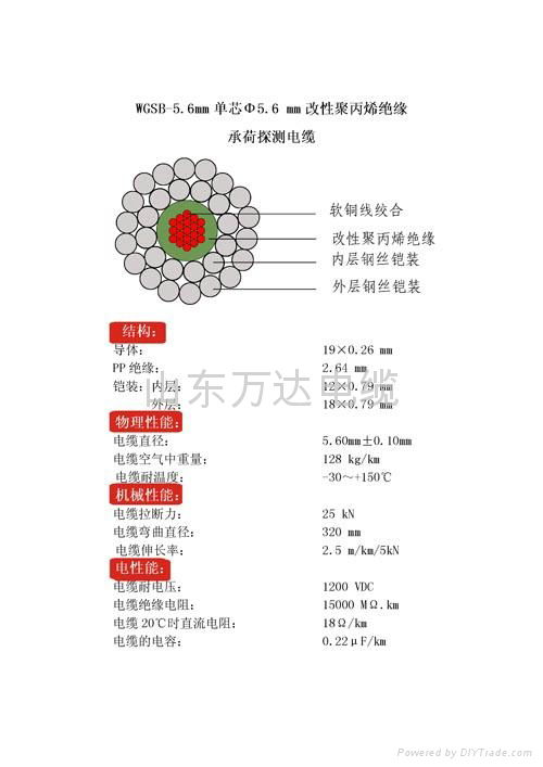 承核探测电缆 3