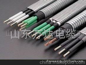  ELECTRIC SUBMERSIBLE POWER CABLE 2