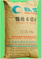 NYLON6 CHIP 2