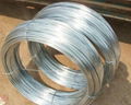 Galvanized Wire(electro or hot dipped)