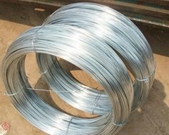 Galvanized Wire(electro or hot dipped) hot sale for years