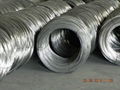 Galvanized Wire