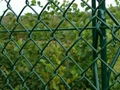 Link Chain Fence 1