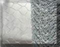 Hexagonal Wire Mesh 2