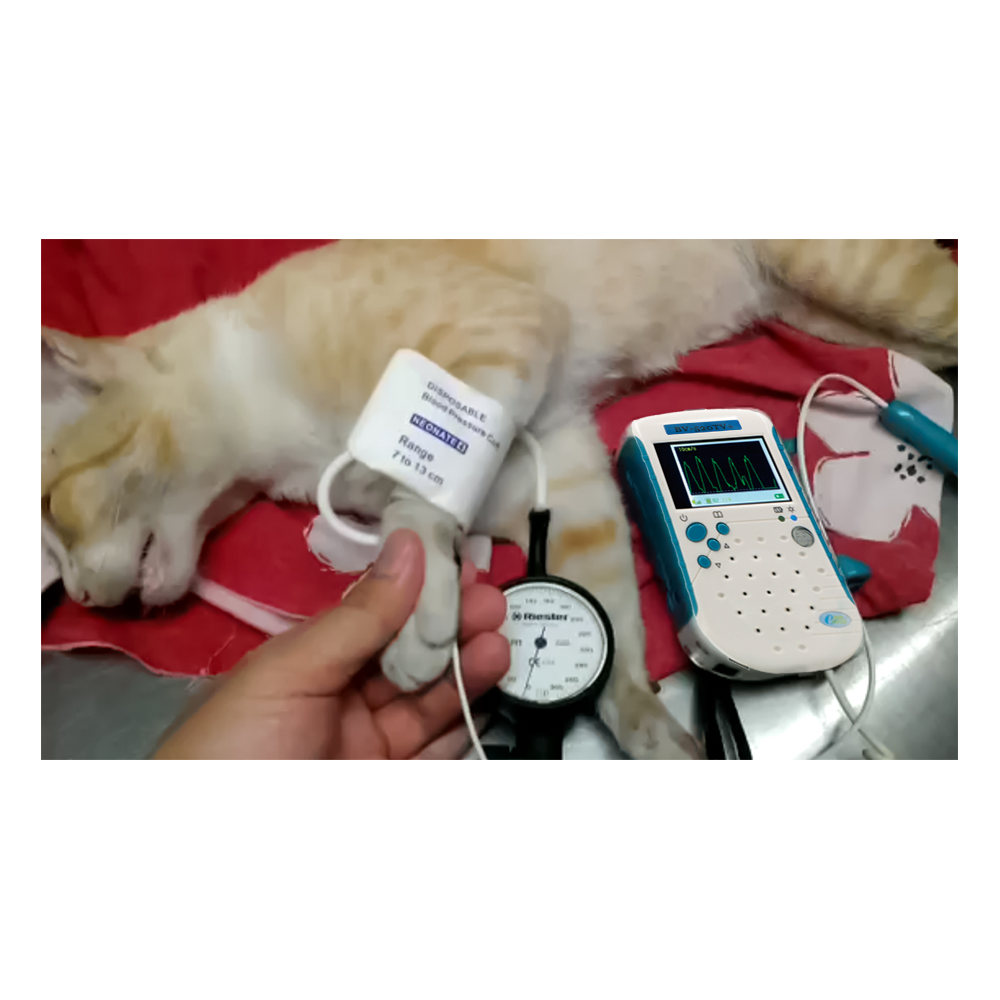 Pet Vascular Blood Velocity Detector, Pocket 9MHz Flat Probe Animal Veterinary 4