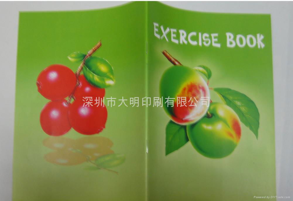 exercise books 4