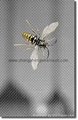 Alumium Insect screen WS-03