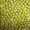 Green Mung Beans. 1