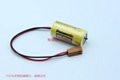GE FANUC 电池  IC693ACC301 Lithium Battery