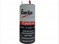 0840-0004 Cyclon EnerSys 西科龙 2V 12Ah 铅酸蓄电池