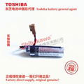 ER6V/3.6V ER6V ER14505 TOSHIBA 东芝 锂电池 PLC电池 数控电池 仪器仪表电池 正品代理 2