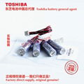 ER6V/3.6V ER6V ER14505 Toshiba battery PLC battery CNC battery genuine agent 9