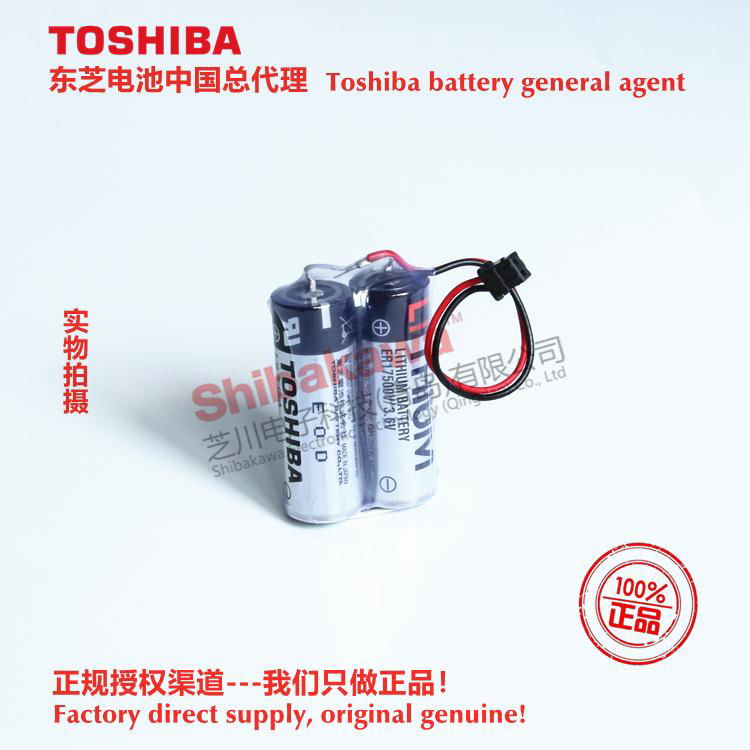 ER17500VPS2C53 Oval flowmeter battery ER17500V/3.6V Toshiba original battery 4